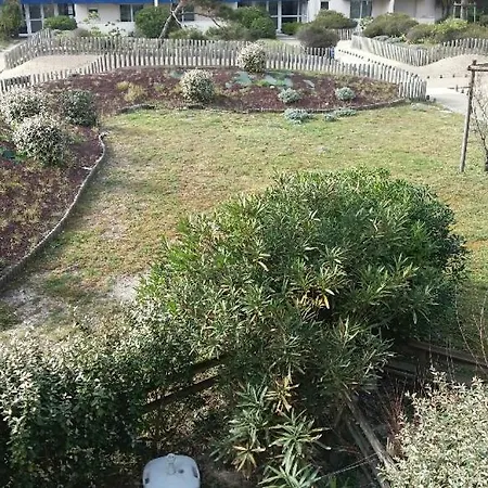 公寓 T 2 Avec Piscine 拉卡诺